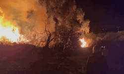 Antalya D-400 kara yolunda yangın ucuz atlatıldı