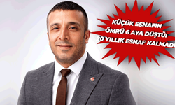 Arnik: Esnafın krediye erişimi kesilirse; çark durur, kepenk kapanır