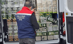 Aydın'da sahte zeytinyağı operasyonu: 3 ton yağa el konuldu