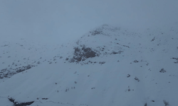 Batman’da ağıla çığ düştü: 45 küçükbaş hayvan telef oldu