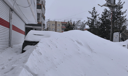 Batman'da kar, arabaların boyunu geçti