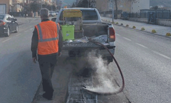 Bilecik’te haşereyle mücadele çalışmaları tamamlandı