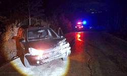 Bilecik'te kontrolden çıkan otomobil ağaca çarptı: 1 yaralı