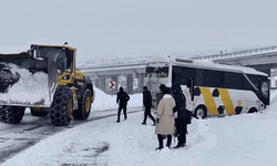 Bingöl'de kayan midibüs kara saplandı