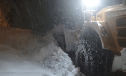 Bitlis-Hizan karayolunda çığ düştü