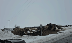 Bitlis’de bir köy karantinaya alındı