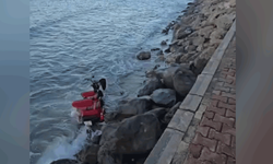 Bursa'da 3 tekerlekli elektrikli motosiklet denize uçtu