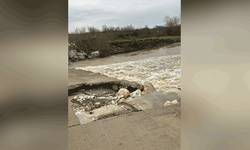 Bursa'da mesire alanındaki hasarlı köprü tehlike saçıyor