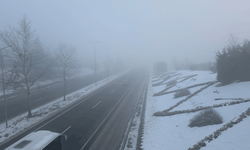 Düzce'de sis ve soğuk hava etkili oluyor