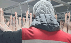 Erzurum'da gıda satışı yapan işletmeler denetlendi