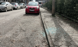 Eskişehir'de 7 aracın camlarını kırarak soyan şüpheli yakalandı