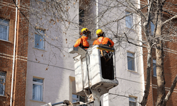 Eskişehir’de kış budaması çalışmaları devam ediyor