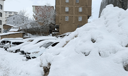 Hakkari'de 223 yerleşim yerinin yolu ulaşıma kapandı