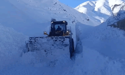 Hakkari'de kar esareti: 357 yol ulaşıma kapandı