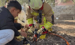 Hatay'da patisi zincire sıkışan köpeğe hayat kurtaran müdahale