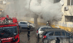 İyi niyet faciaya dönüşüyordu: Kediler için açılan ısıtıcı yangın çıkardı