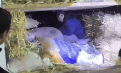 Kars’ta kamyonette 3 düzensiz göçmen yakalandı