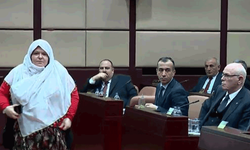 Mecliste gergin anlar