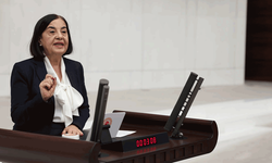 Milletvekili Süllü: "20 bin lira emekli maaşıyla yaşamak mümkün değil"