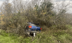 Muğla'da araç şarampole uçtu: 1 yaralı