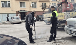 Odunpazarı Belediyesi’nden kış döneminde haşerelere karşı önlem