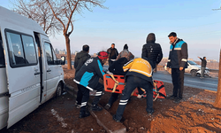 Şanlıurfa'da işçi servisi ağaca çarptı: 7 yaralı