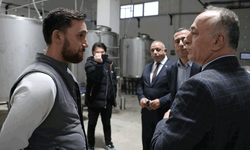 Sarıcakaya’da zeytin ve zeytinyağı üretimi hızla artıyor