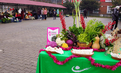 Tepebaşı'nda kadın emeği kazanca dönüşüyor