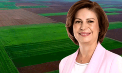 Ünlüce: Hukuk, Alpu Ovamızı bir kez daha korudu