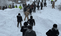 Van'da çığ faciası: Kayıp kadın kurtarıldı