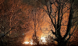 Zonguldak'ta ağaçlık alanda çıkan yangın korkuttu