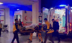 Adıyaman'da hafif ticari araç bariyerlere çarptı: 2 yaralı