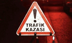 Afyon'da bir otomobil kontrolden çıkarak şarampole uçtu