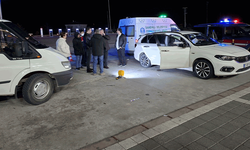 Afyon'da dinlenme tesisinde şok: Araçta ölü bulundu