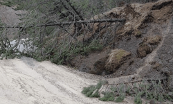 Amasya'da ormanlık alanda heyelan: Ağaçlar devrildi