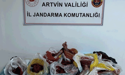 Artvin'de 60 kilo yaban domuzu eti ele geçirildi