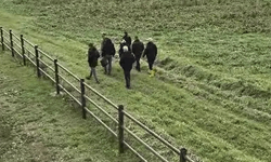 Bilecik'te 20 yıl önce kaybolan 3 şahsın kemikleri kazıda bulundu