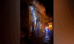 Bilecik’te köy evinde çıkan yangın korkuttu