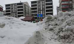 Bitlis'te kar yığınları kardan kaleye dönüştü