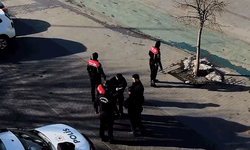 Bolu’da 124 şüpheli yakalandı