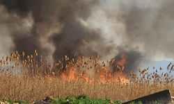 Bursa'da sazlık alanda çıkan yangın büyüyor