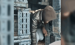 Düzce'de 13 düzensiz göçmen yakalandı