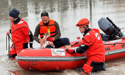 Edirne'de AFAD mahsur kalan hayvanları tahliye ediyor