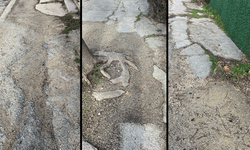 Eskişehir Gültepe Mahallesi’nde kaldırım sorunu tepki çekiyor