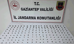 Gaziantep'te 195 adet sikke ele geçirildi: 1 gözaltı