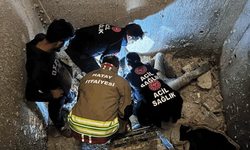 Hatay'da  asansör boşluğuna düşen işçi yaralandı