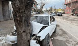 Hatay'da ehliyetsiz sürücünün kontrolünü kaybettiği otomobil ağaca çarptı