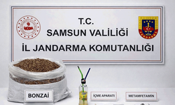 Samsun'da 12 kilo bonzai ele geçirildi