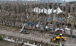 Sazova’da iki hafta sürecek çalışmalar başladı