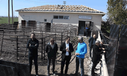 12 yıldır kapalıydı: Eskişehir’deki mezbaha yeniden açılıyor